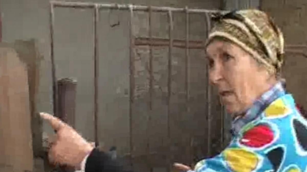 fetita de 12 ani acuzata de abuz sexual de parintii unui baiat de 6 ani video