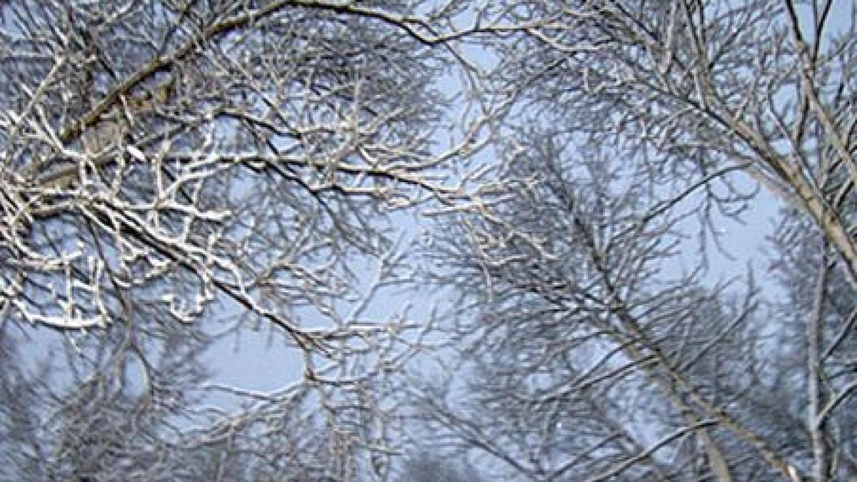 la brasov au cazut primii fulgi de zapada in bucuresti mai frig decat in capitalele nordice video