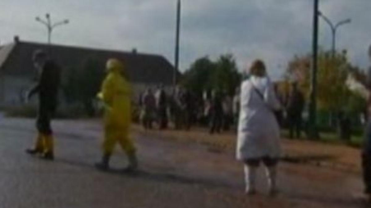 ungaria uzina mal isi reia activitatea directorul eliberat video