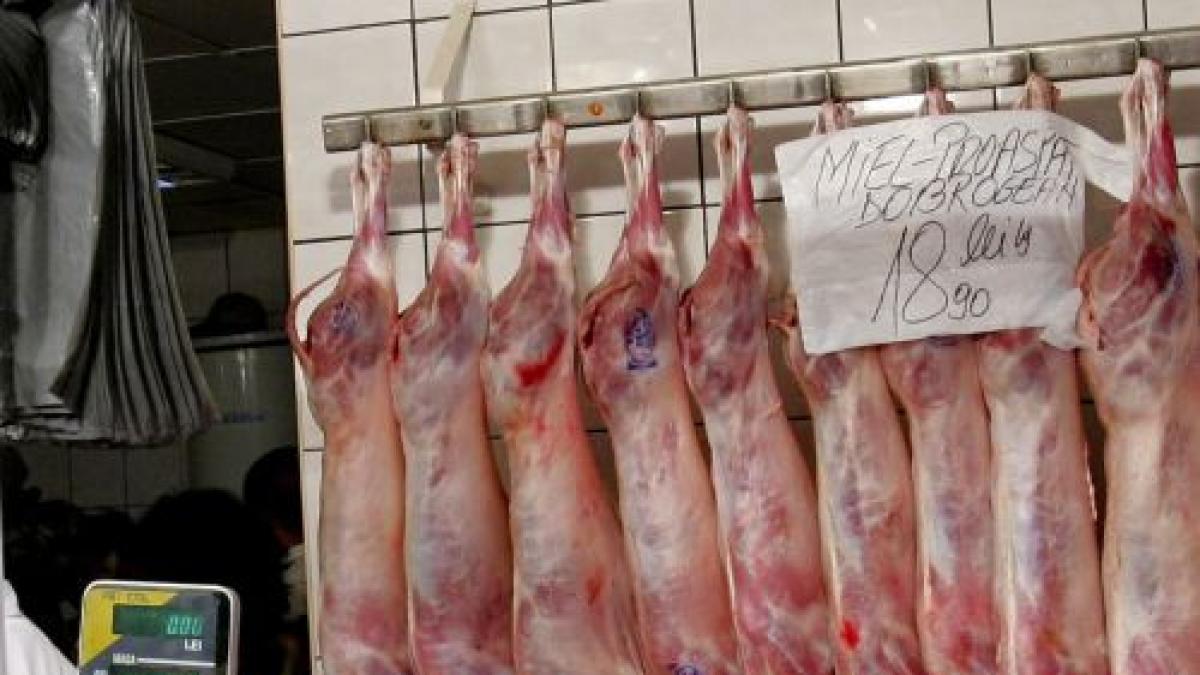 mafia carnii cumpara animale moarte sau sau bolnave si le distribuie carnea in magazine