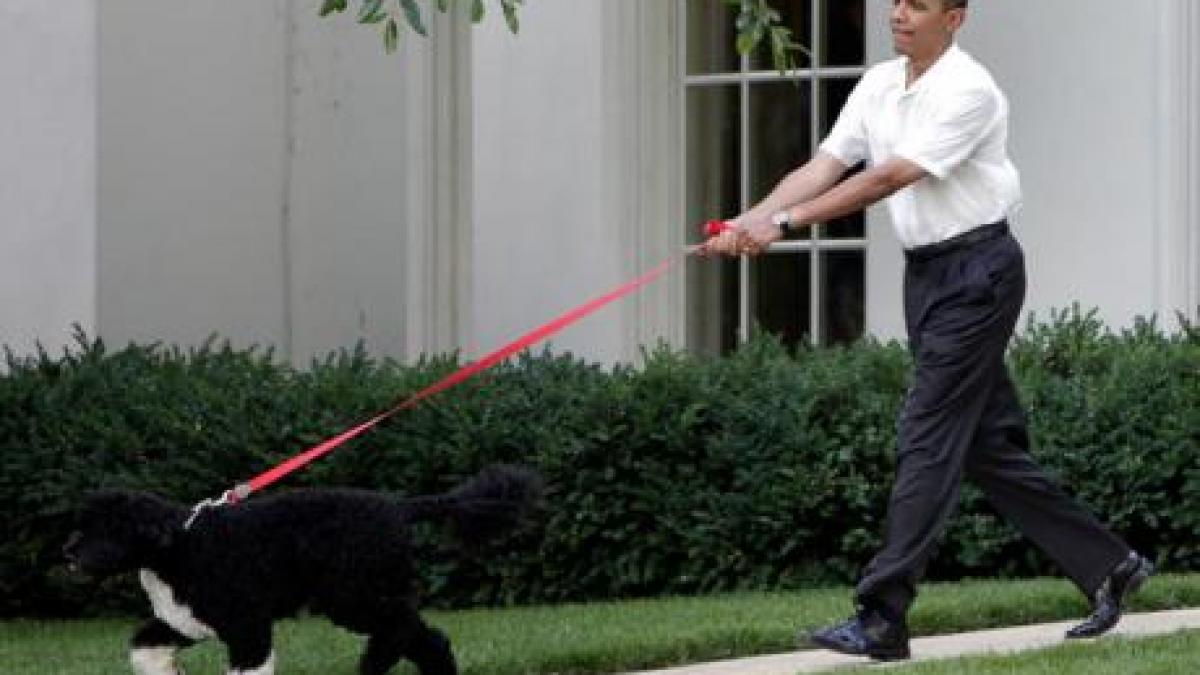 barack obama va aparea la spargatorii de mituri pentru a promova stiinta