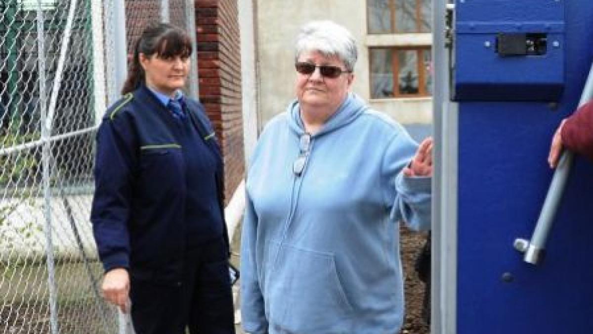 ioana maria vlas eliberata vintu este vinovat a fost prezentat ca victima si nu este asa