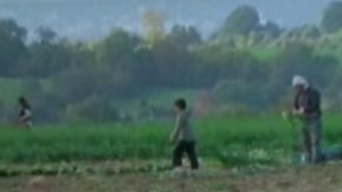 marea britanie sapte copii romani sclavi la o ferma