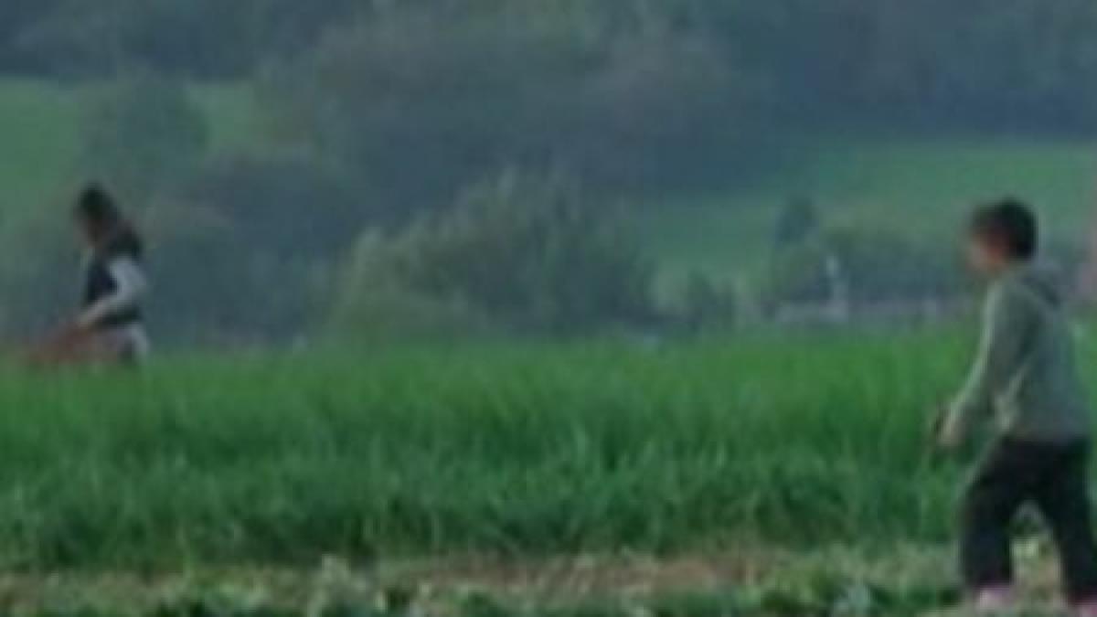 copiii romani care munceau in conditii de sclavie in marea britanie au ajuns in grija autoritatilor