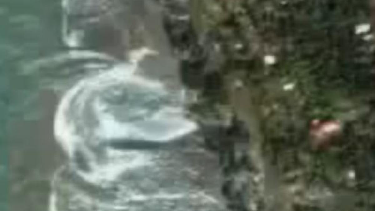 peste 100 de morti in indonezia dupa un tsunami provocat de cutremurul de 7 5 pe scara richter