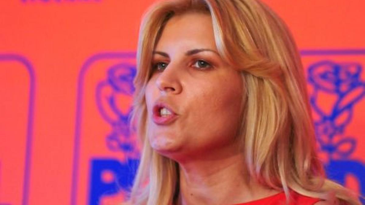 udrea nu exista nicio alternativa din partea opozitiei nicio solutie