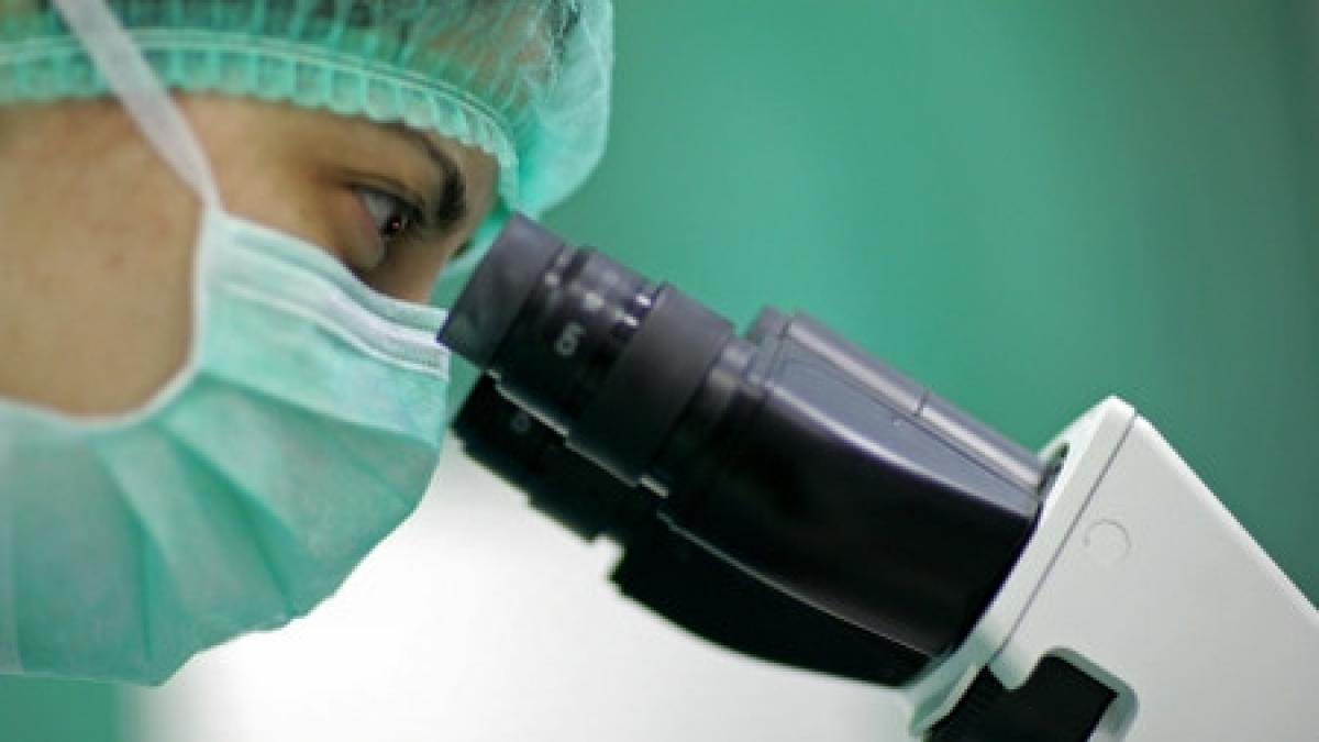 o proteina care ar putea combate cancerul descoperita de cercetatori