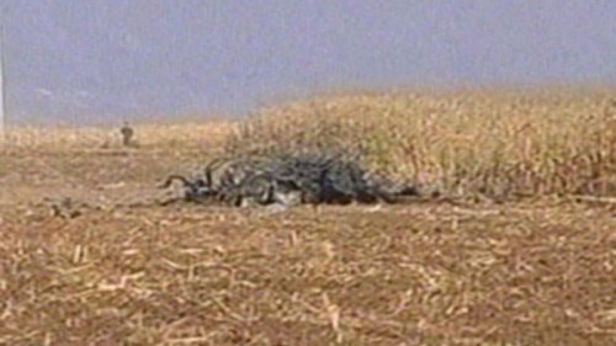 a fost gasita cutia neagra a mig ului prabusit zborurile cu acest tip de avion sistate