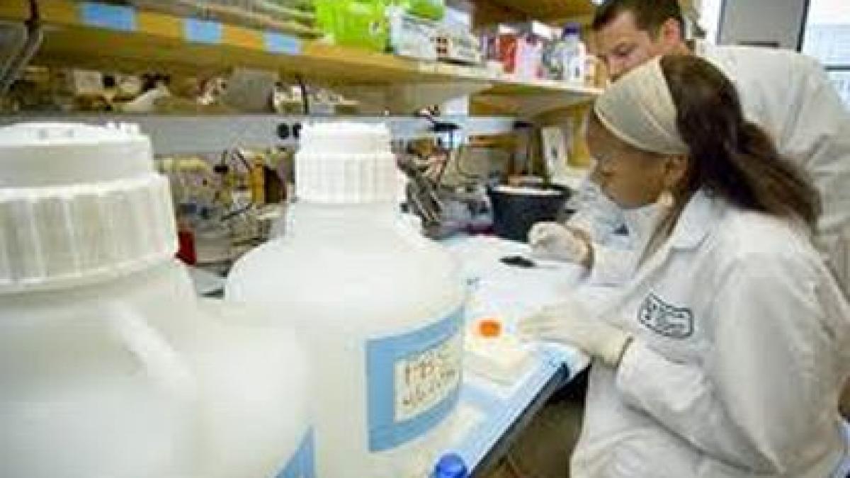 americanii au creat in laborator primul ficat artificial