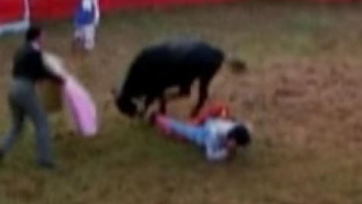 columbia un taur i a smuls pantalonii toreadorului in timpul luptei