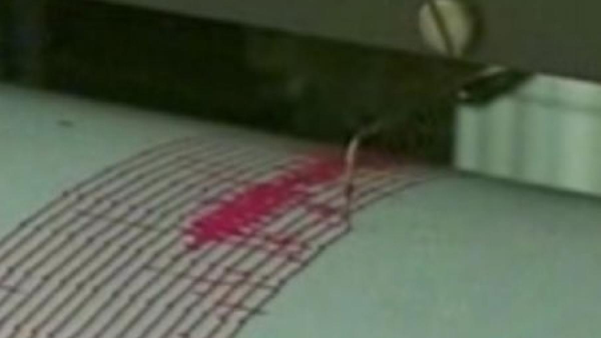 seism puternic in arhipelagul tonga