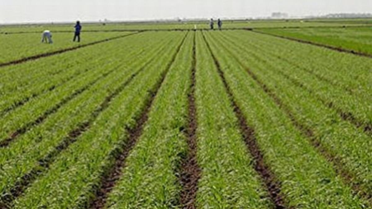 romania trebuie sa dea inapoi comisiei europene 41 7 milioane euro cheltuiti incorect