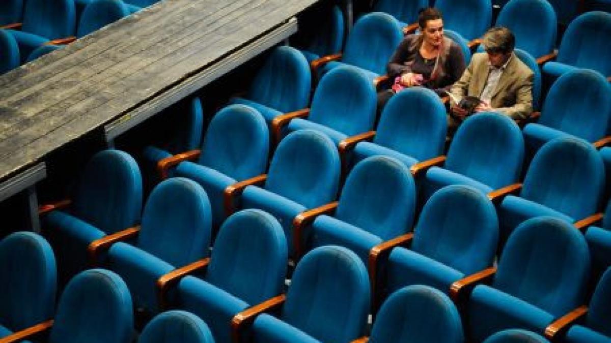 guvernul va lasa 600 de artisti si oameni de cultura fara locuri de munca