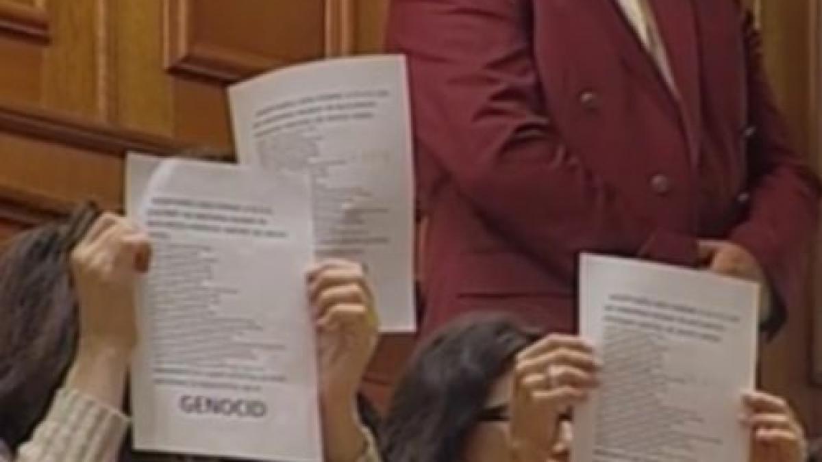 protestul ong urilor s a mutat in parlament au adus afise pe care au scris genocid