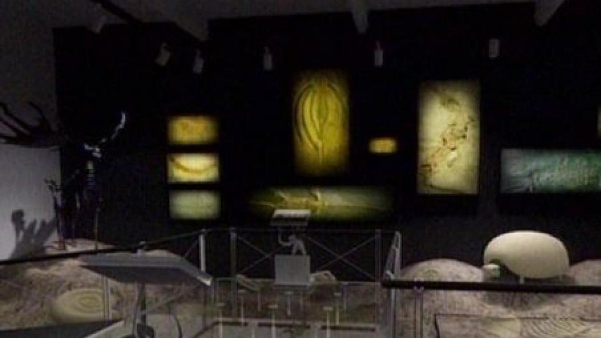 filme 3d infotouch uri si cafenea culturala la muzeul antipa din primavara 2011