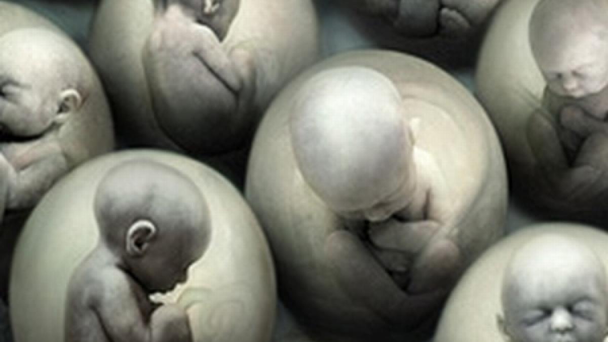 legea care interzice clonarea umana adoptata in senat