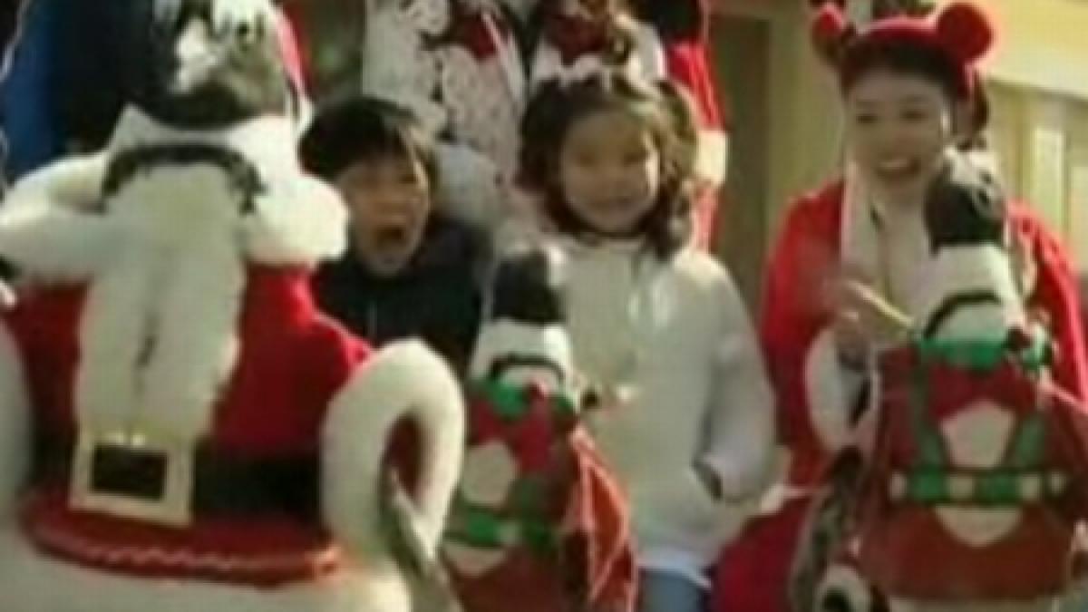 pinguini imbracati in mos craciun la o gradina zoologica din coreea de sud