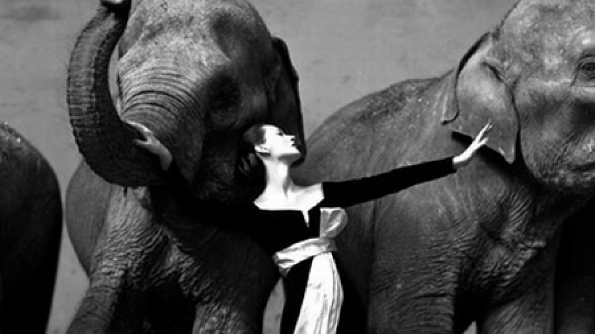 o fotografie realizata de richard avedon licitata pentru 841 000 de euro