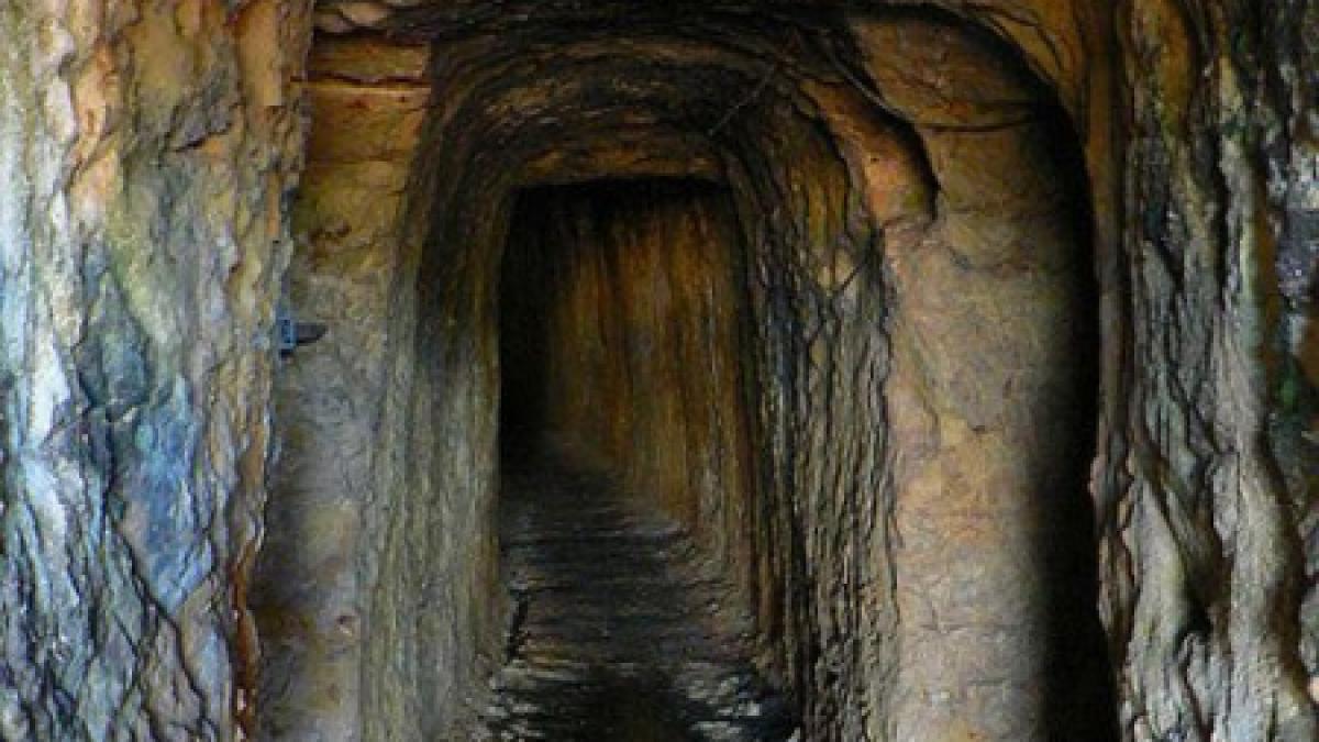 noua zeelanda toti cei 29 de mineri dati disparuti au murit