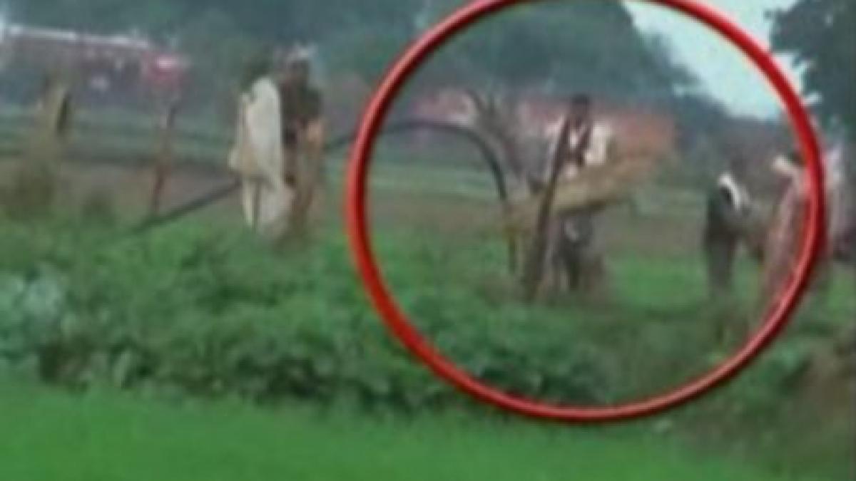 india un leopard a ranit opt padurari dupa o tranchilizare esuata