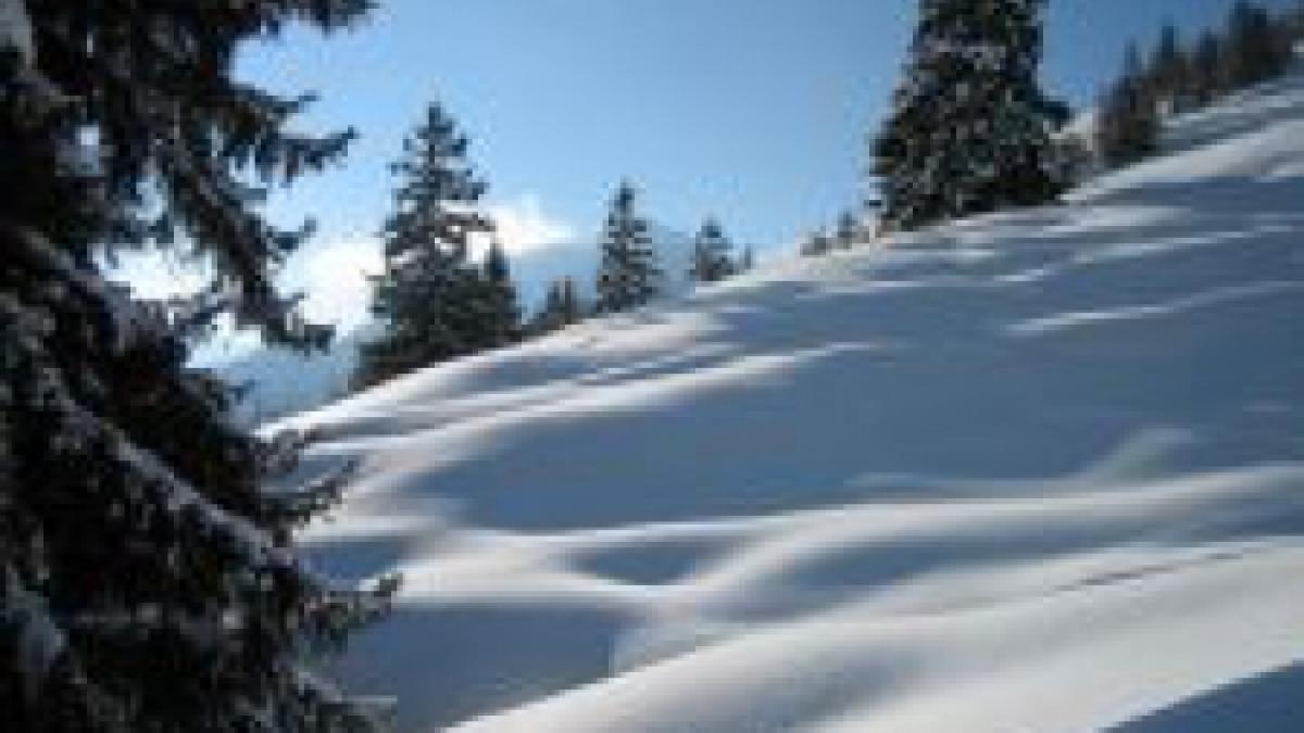 italia patru oameni au murit in urma a doua avalanse