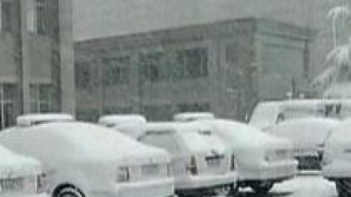 slovenia sute de masini au ramas blocate din cauza ninsorii