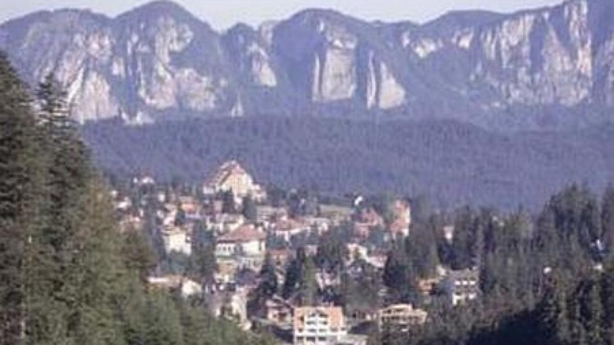 22 de miliarde de lei vechi pentru asfaltarea unui drum forestier din predeal