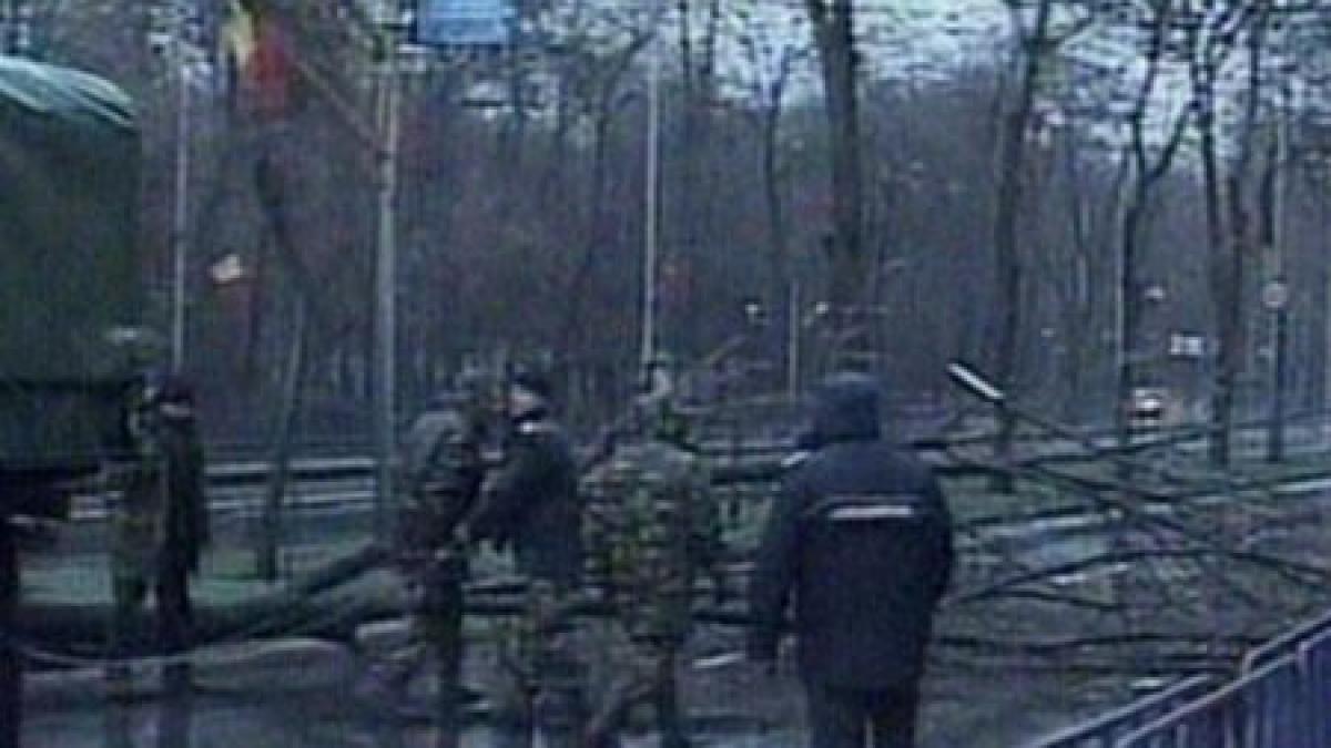 un copac s a prabusit pe soseaua kiseleff cu numai cateva ore inaintea paradei de 1 decembrie