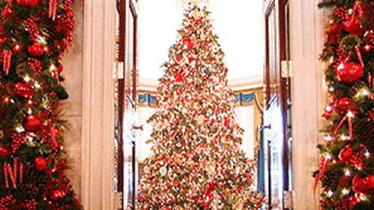 casa alba impodobita de craciun cainele prezidential marea vedeta a ornamentelor