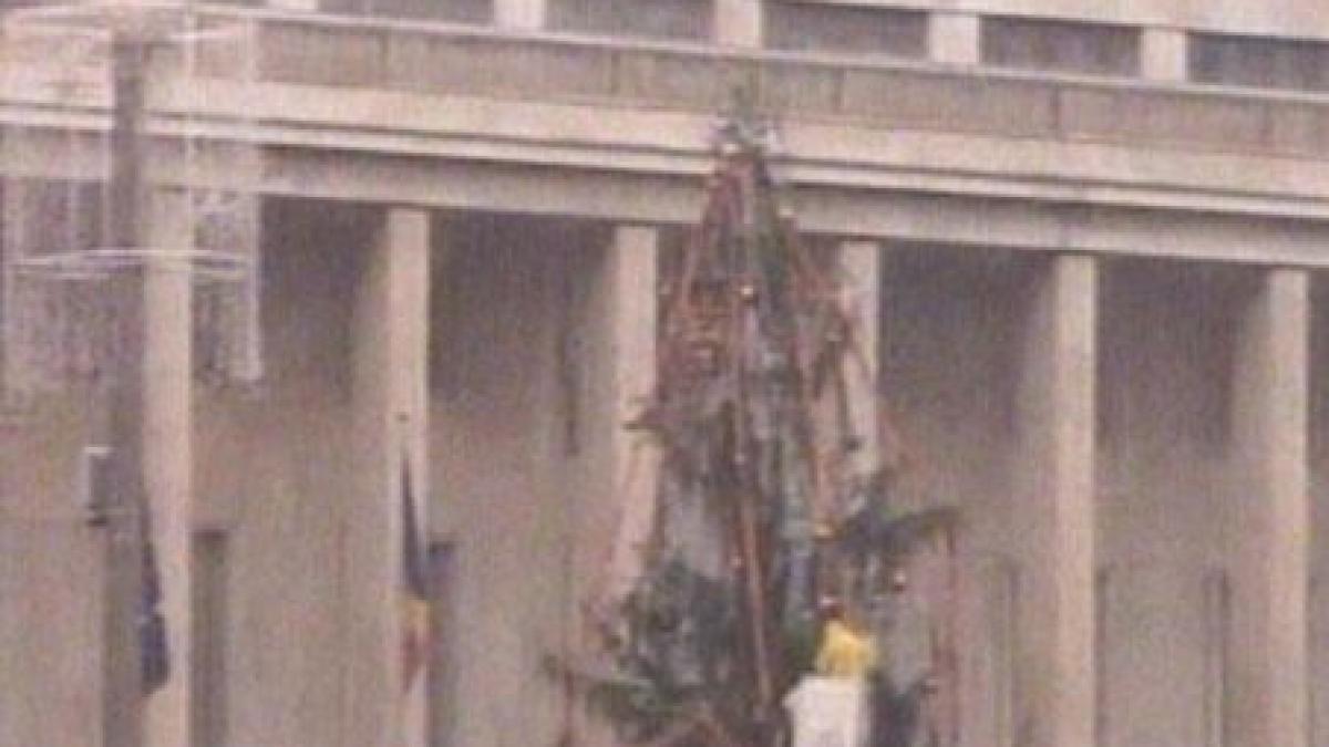 pomul de craciun din fata guvernului impodobit cu globuri si ghirlande portocalii