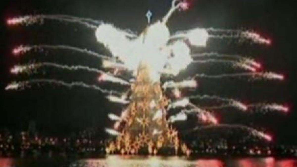 brazilia are cel mai mare brad plutitor din lume