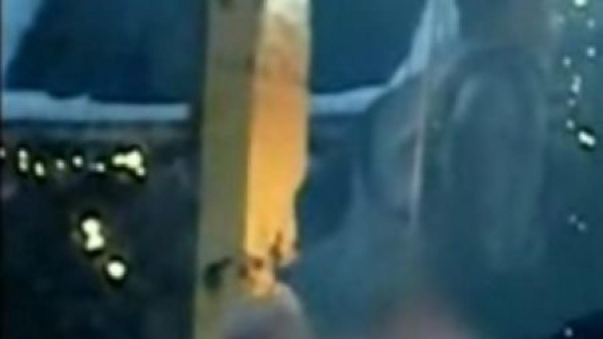 robbie williams si a dat pantalonii jos in direct