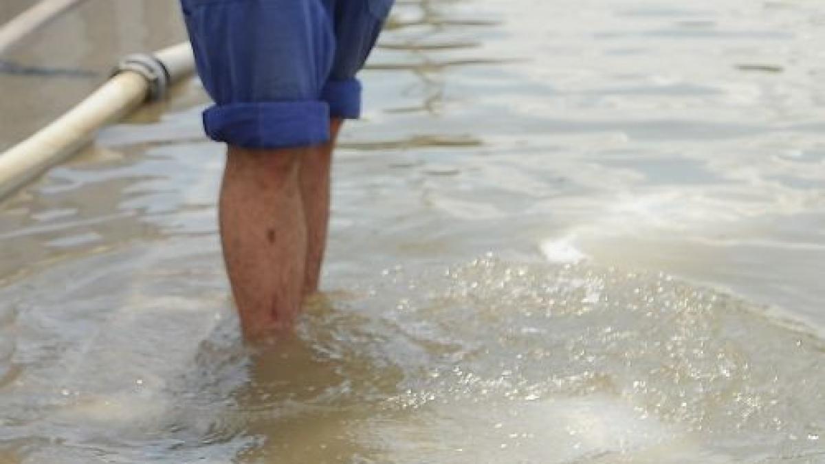 cartier din baia mare inundat in urma unei ploi torentiale