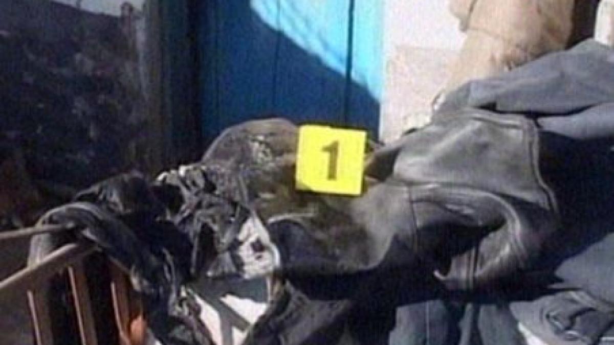 dambovita s au parlit ei in loc sa parleasca porcul