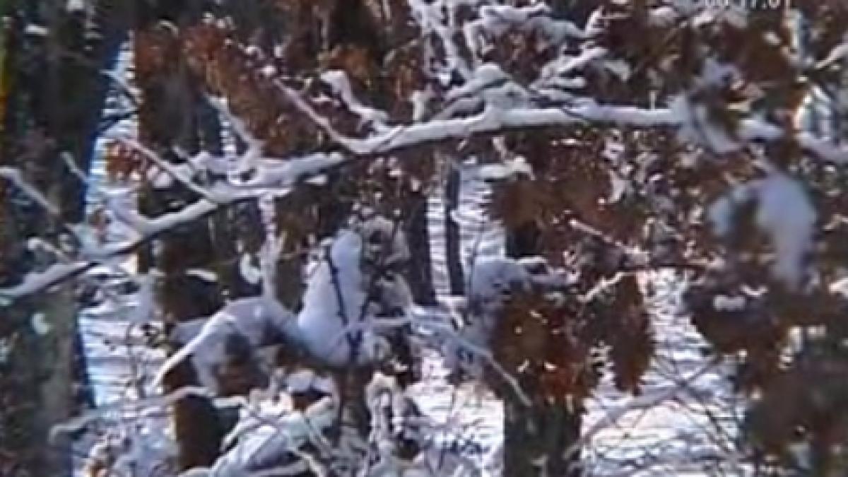 calarasi un profesor a fost ucis la vanatoare de prietenul sau