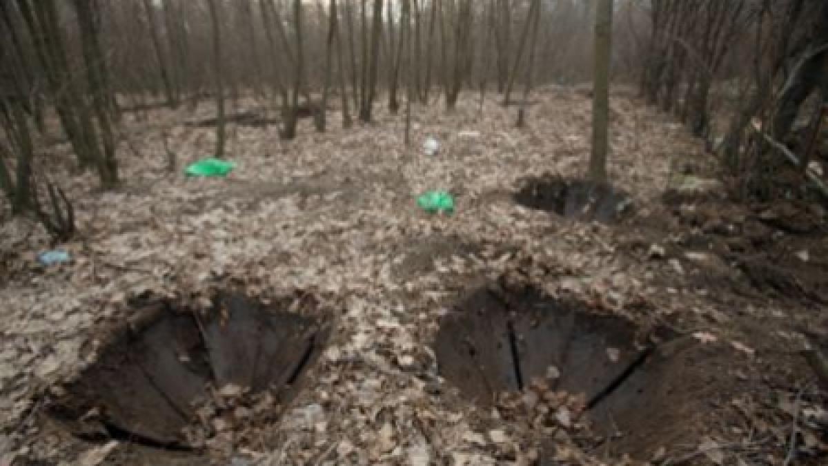 israel cadavrul unei turiste din sua gasit legat intr o padure