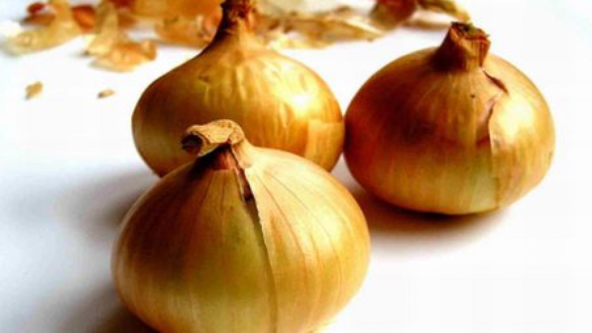 agricultorii japonezi isi promoveaza ceapa cu ajutorul muzicii pop