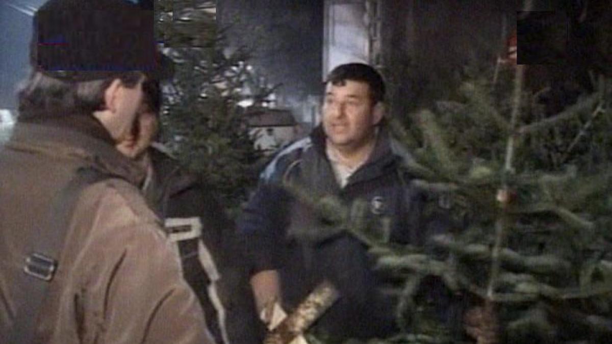 romanii profita de reducerile de ultim moment pentru a cumpara brazi de craciun