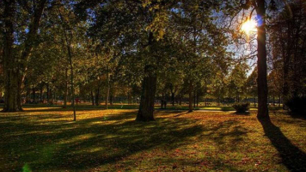 vreme de primavara in ajunul craciunului la resita au fost 13 grade celsius