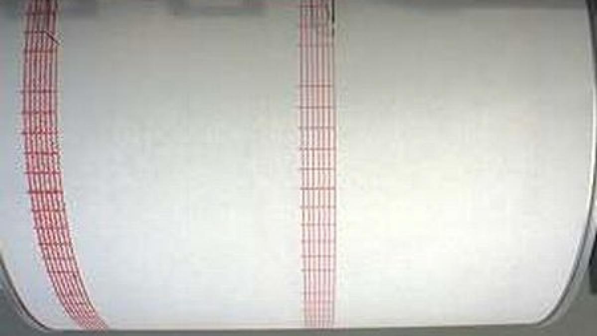 un cutremur de 3 2 pe scara richter a avut loc in vrancea