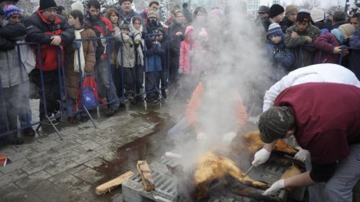 pomana porcului in sectorul 5 peste 1 500 de oameni au venit pentru o portie de mancare