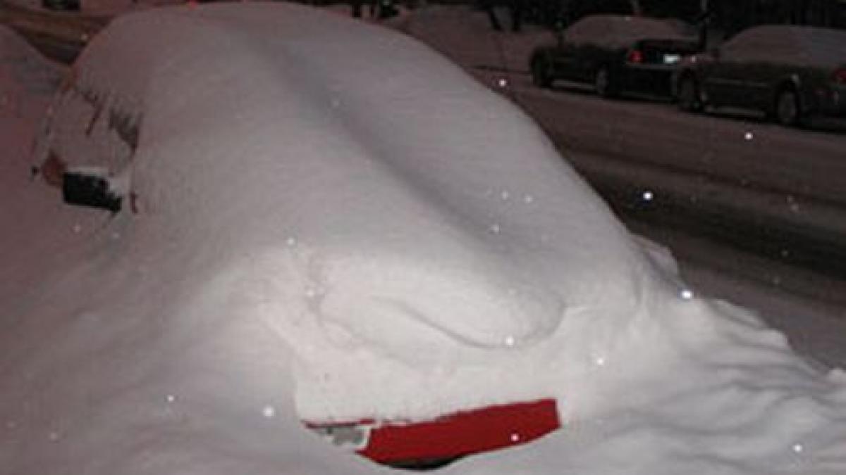 vreme la extreme sua si rusia afectate de ninsori val de caldura in argentina