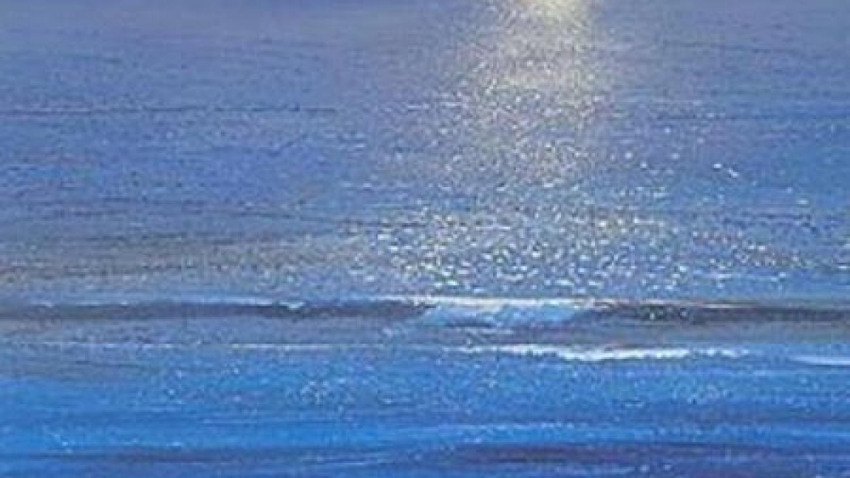 zacamant urias de gaze descoperit in marea mediterana