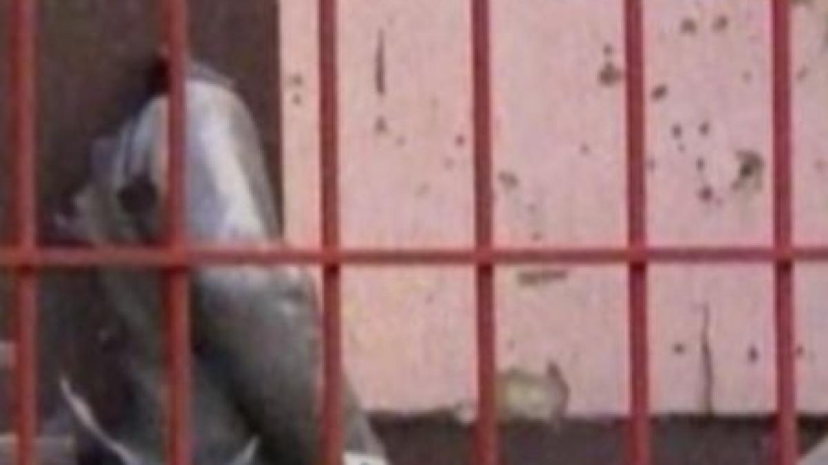 ucraina bust al lui stalin distrus de un atac cu bomba