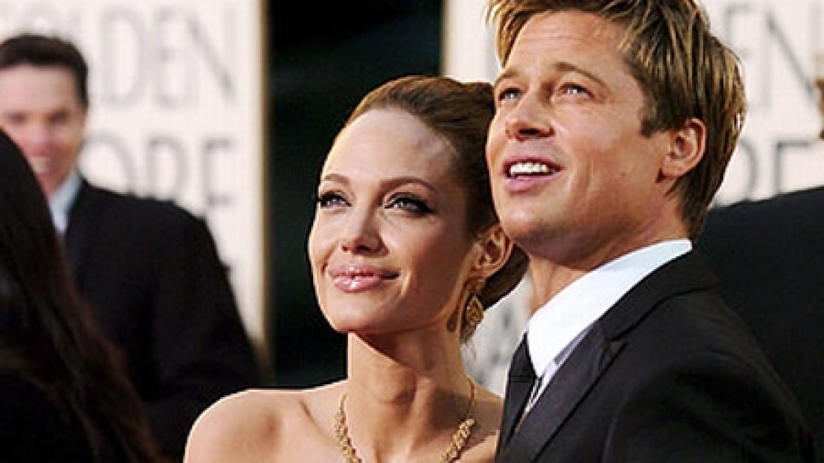 angelina jolie si brad pitt au donat doua milioane de dolari unui adapost pentru animale