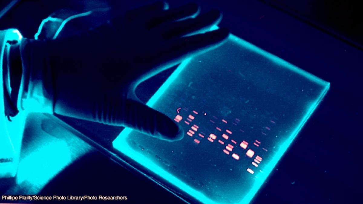 arges crima rezolvata dupa 11 ani datorita testelor adn
