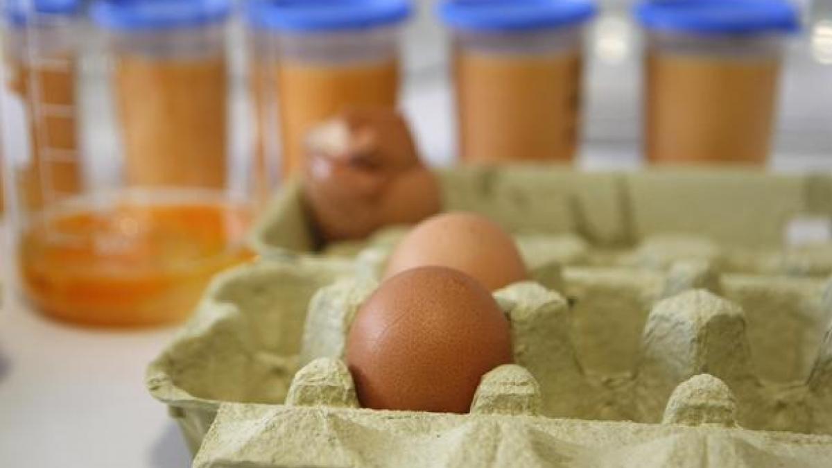 scandalul alimentelor contaminate cu dioxina din germania se extinde in marea britanie si olanda