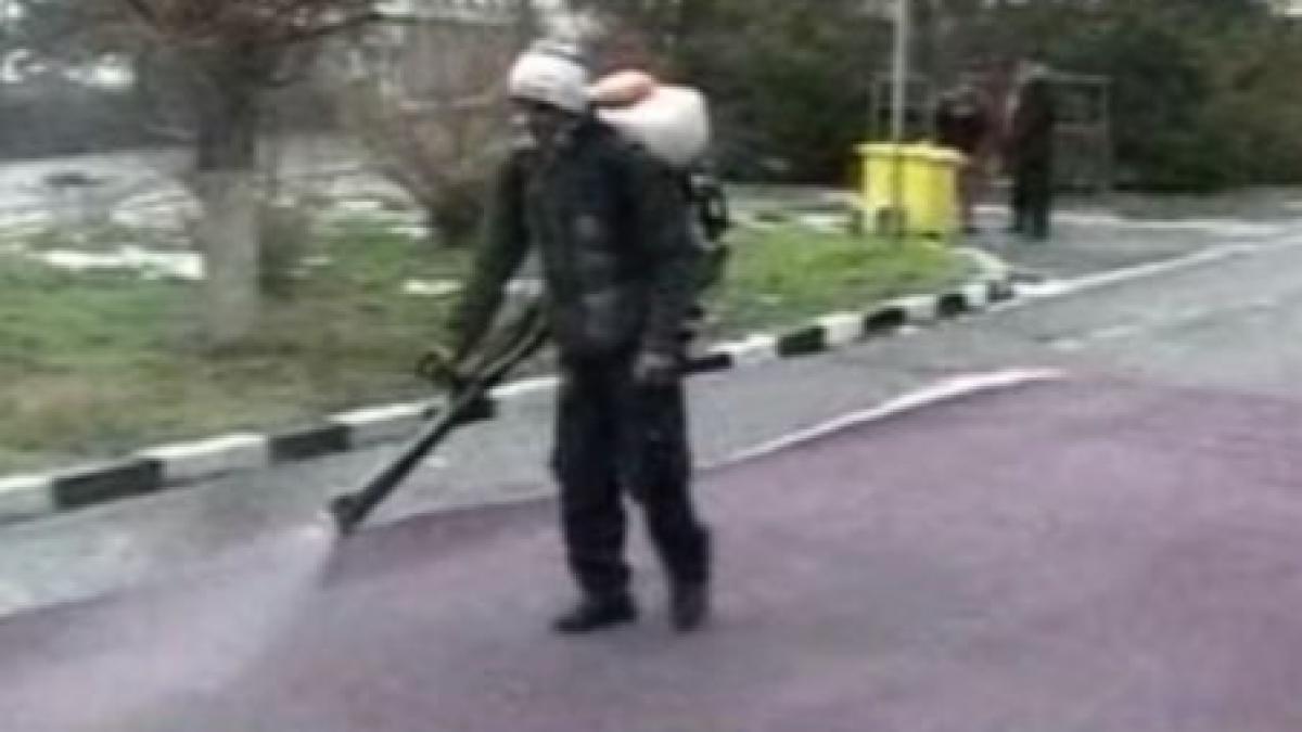 opt judete au intrat in alerta de gradul zero dupa ce febra aftoasa a omorat un porc mistret la