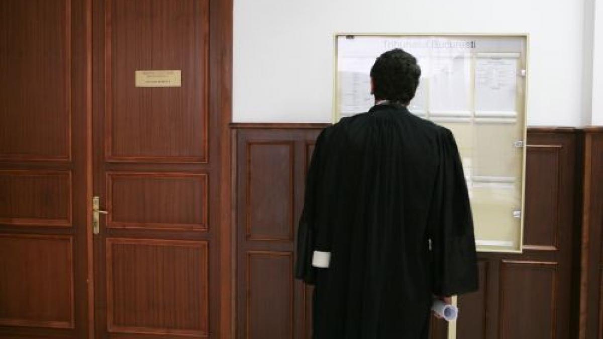 tribunalul bucuresti dezbate pe 4 februarie cererea de inregistrare juridica a aliantei pnl pc