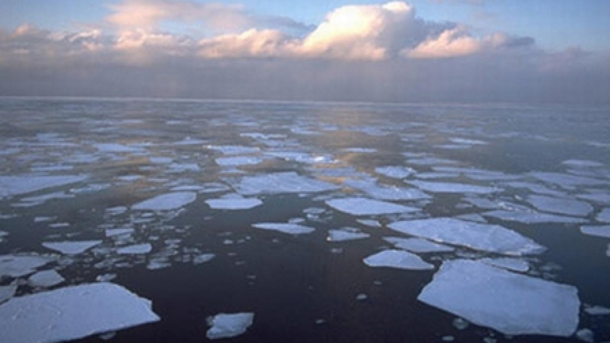 organizatia meteorologica mondiala 2010 a fost cel mai cald an inregistrat vreodata